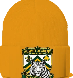 Summit Academy Beanie — Gold