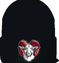 Trotwood-Madison High School Beanie — Black