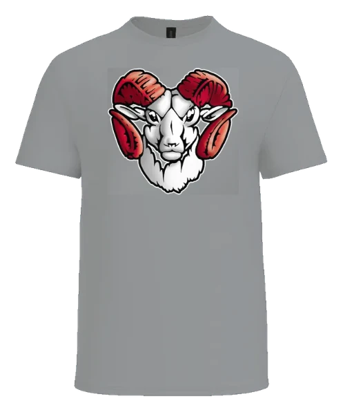 Trotwood-Madison High School Tee — Sport Grey front