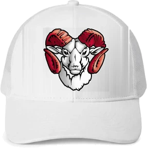 Trotwood-Madison High School Trucker Hat — White