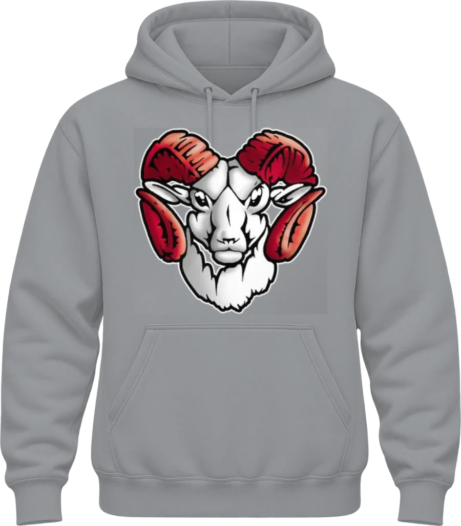 Trotwood-Madison High School Hoodie — Sport Grey