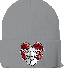 Trotwood-Madison High School Beanie — Sport Grey