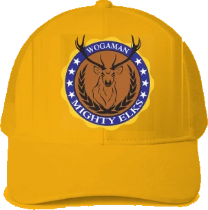 Wogaman Middle School Trucker Hat — Gold